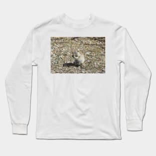 prairie dog, wildlife, animals, nature, gifts Long Sleeve T-Shirt